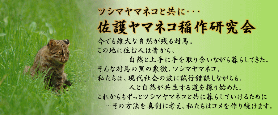 佐護ヤマネコ稲作研究会